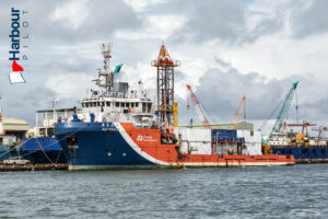 Australis