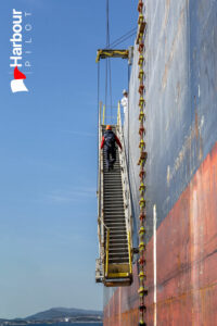 Pilot board Aqualoyalty