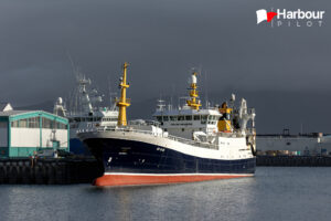 Polar Amaroq